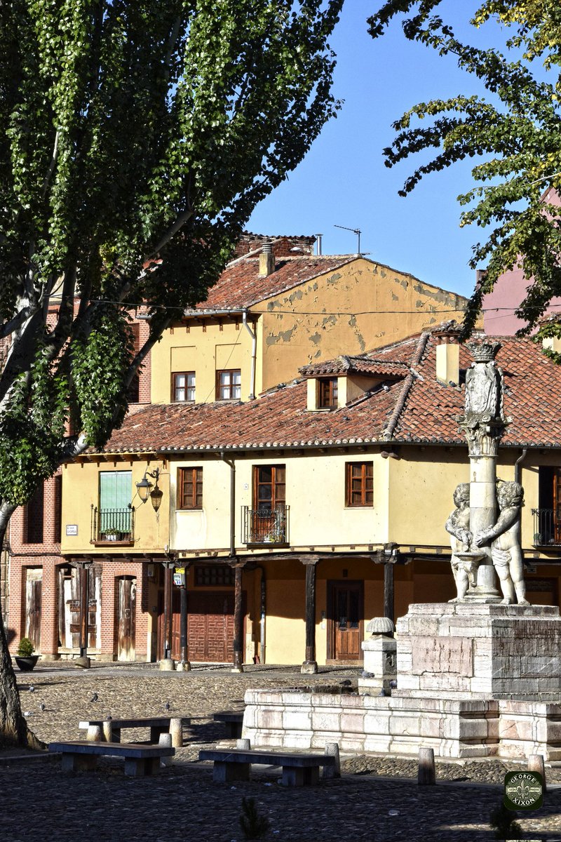 LEÓN PHOTO tweet media