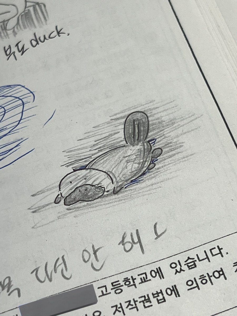 기말고사 후기