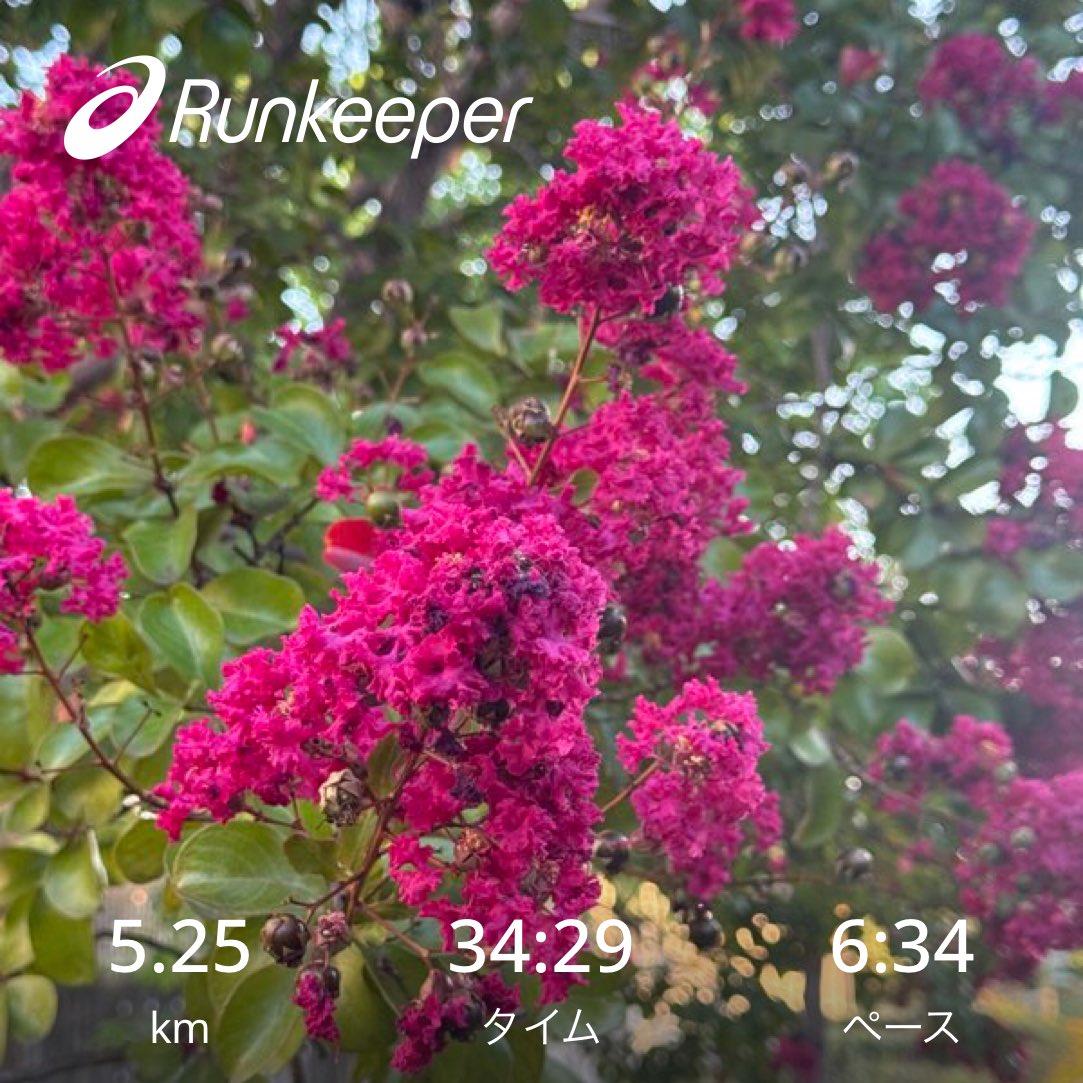 9月の最終日。なんとか100km/月を超えました