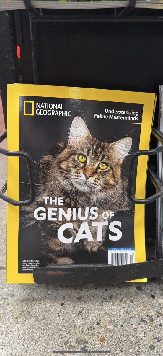 Dashiell Driscoll tweet media