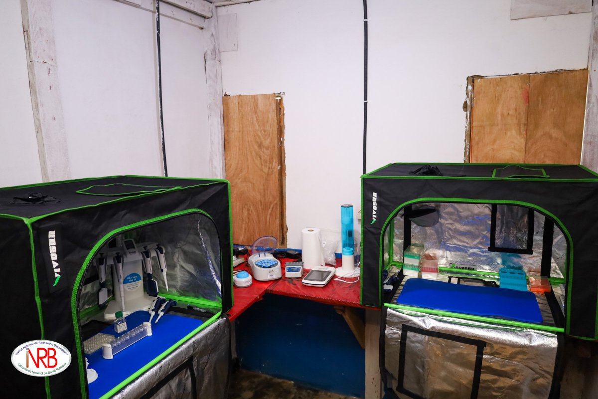 Pathogen Genomic Lab - INRB tweet media