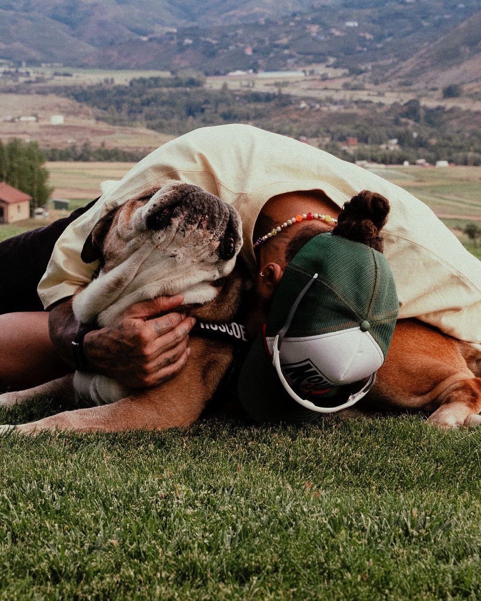 Roscoe44 (@Roscoes44) / Posts / X