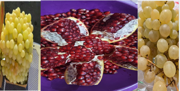 #شاهد_الآن
 بيئة الطائف تطلق مهرجان العنب والرمان الثقافي مطلع أكتوبر - 
 shahdnow.sa/321949/