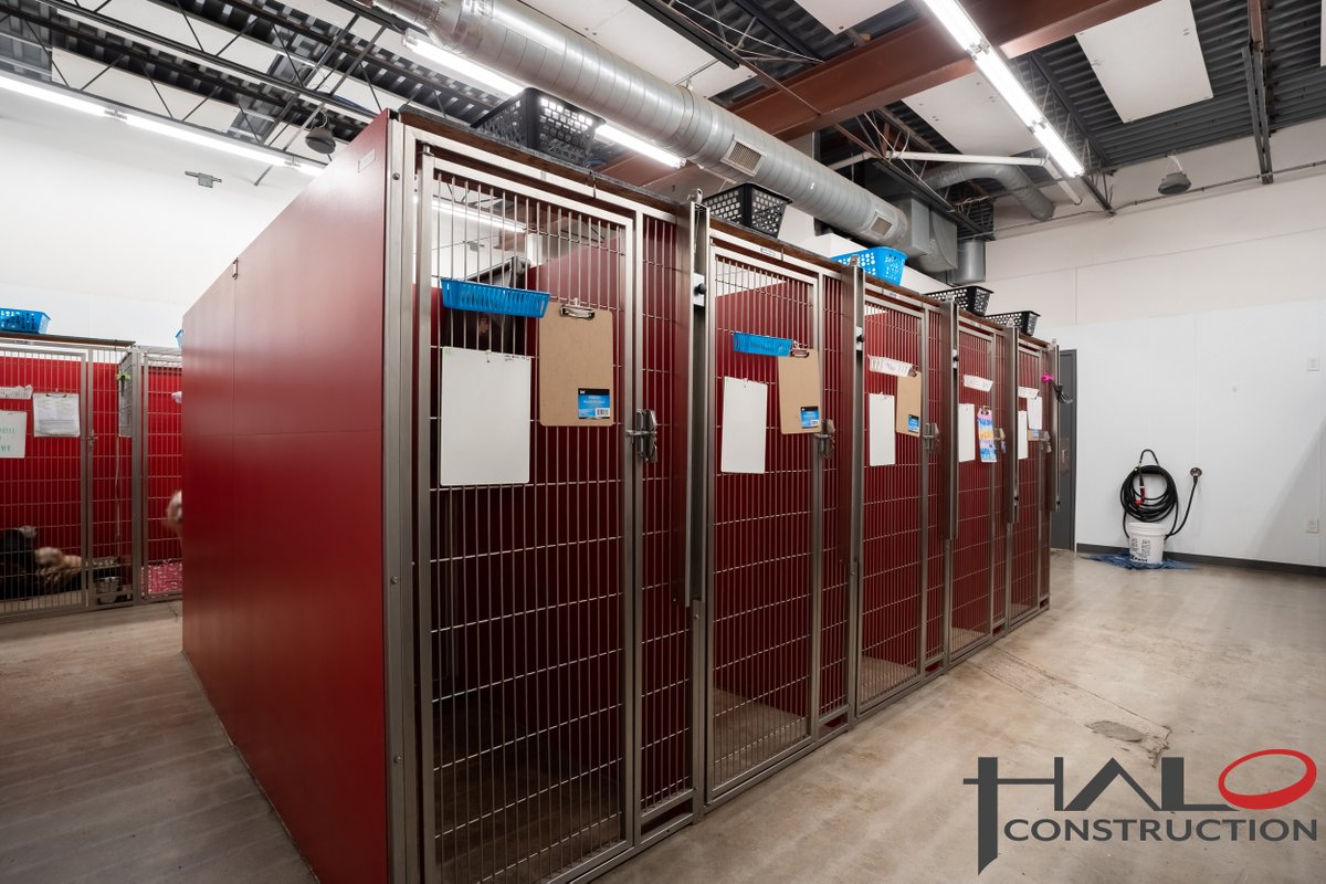 HaloCommercial's tweet photo. #HaloCommercialConstruction #DesignBuild #Construction #ConstructionCompany #PreConstruction #ConstructionManagement #ConstructionAdministration #3DVisualization #ProjectOfTheDay https://t.co/qkD1wc0BLd