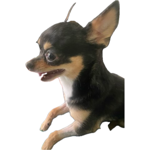 Ayer vi weapons y si me gustó