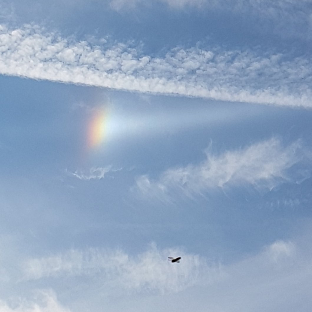 Mark Andrews tweet media