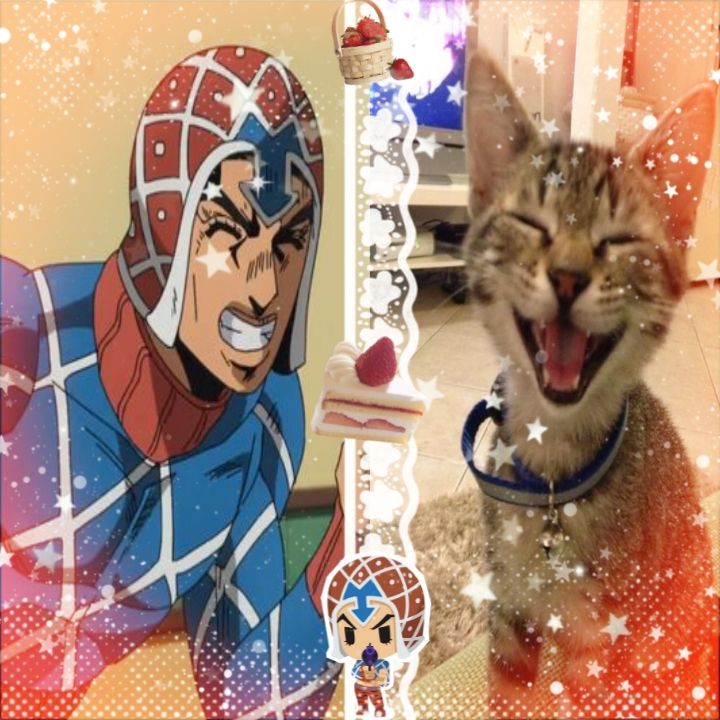 Soy Mista #bottwt #jjbarp