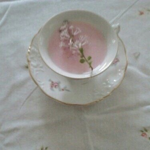 all4naomi's tweet photo. A findummy just sent me tea ♡ . Exactly! Give me more. ᡣ𐭩⋆

 #wishlist #Throne https://t.co/p3iXs8yZ8Z https://t.co/9Sc1t8COvI