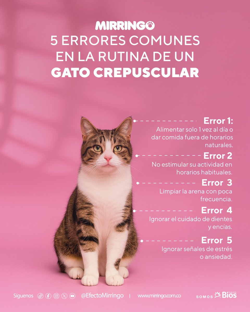 Efecto Mirringo tweet media