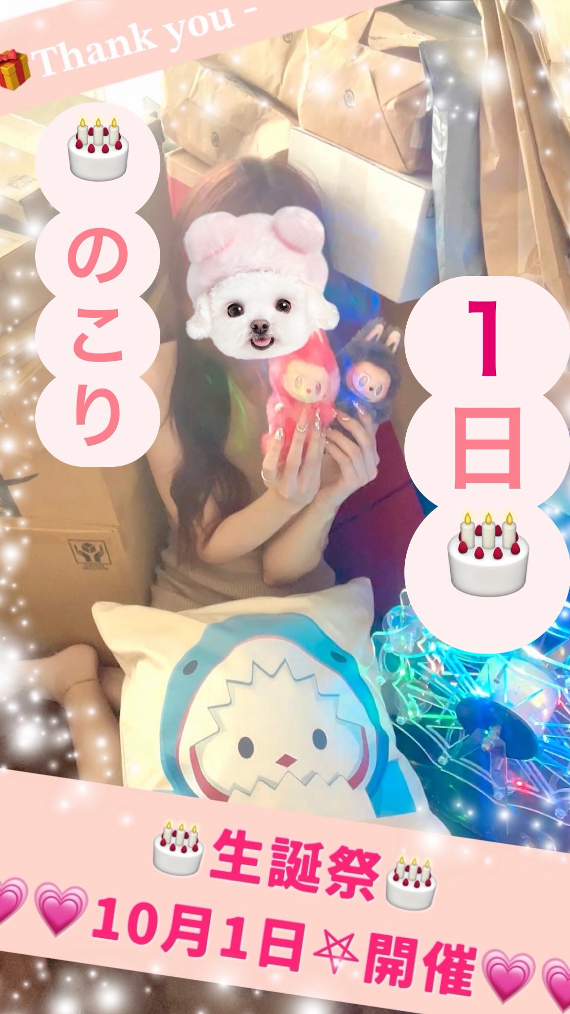 みぃちゃんさま確認ページ♡ みぃちゃん♡さま確認ページ♡ ちゃんみい🐱 (@chan31_san) / X