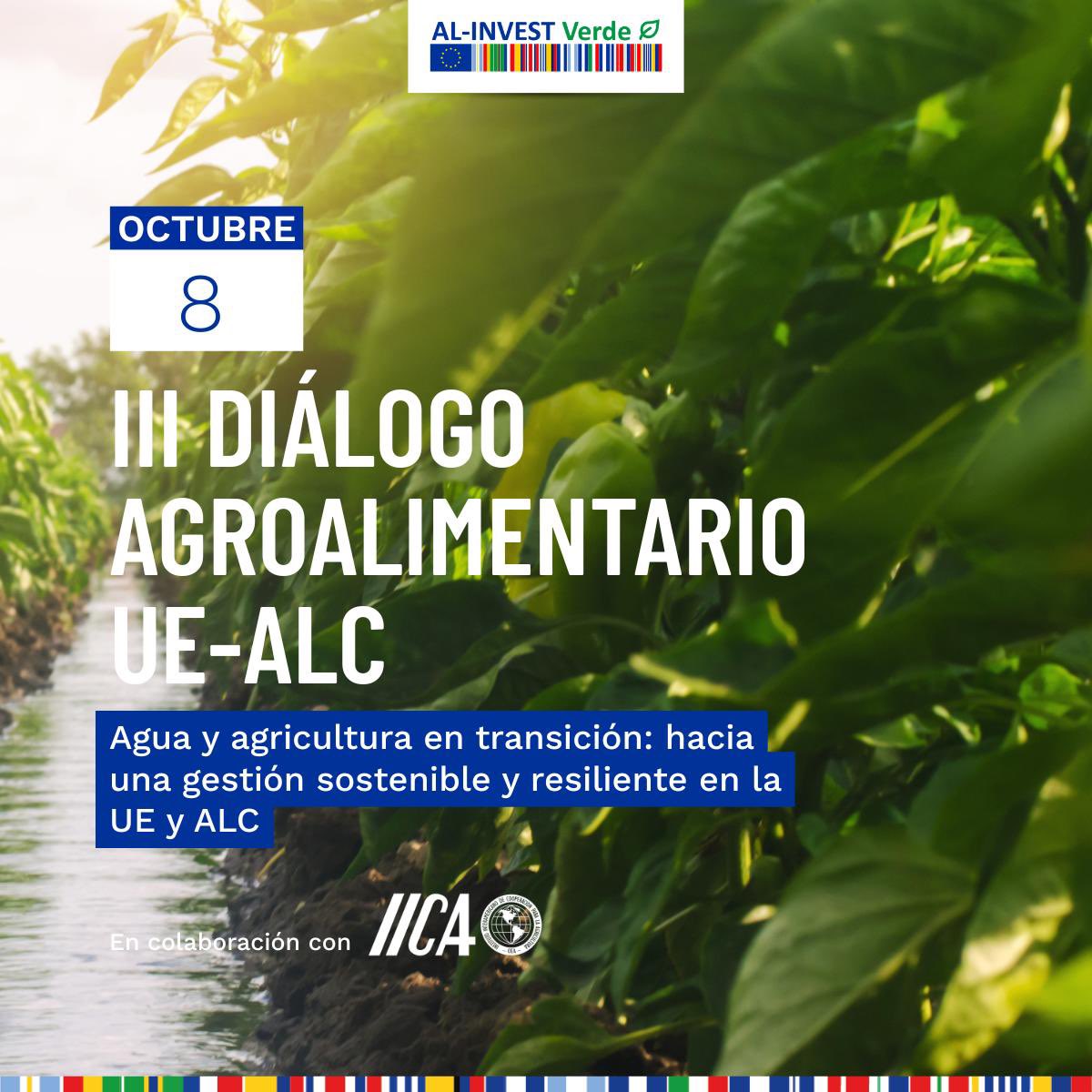 📢 ¡Seminario sobre Gestión Sostenible del Agua en la Agricultura!

En el marco del III Diálogo Agroalimentario UE-ALC, el programa de la UE #ALINVESTVerde (Componente 2) y el <a href="/IICAnoticias/">IICA</a> organizan este encuentro.

🗓️ 8/10 | 8.30 a 11h
 👉 Inscripción: iica.zoom.us/webinar/regist…