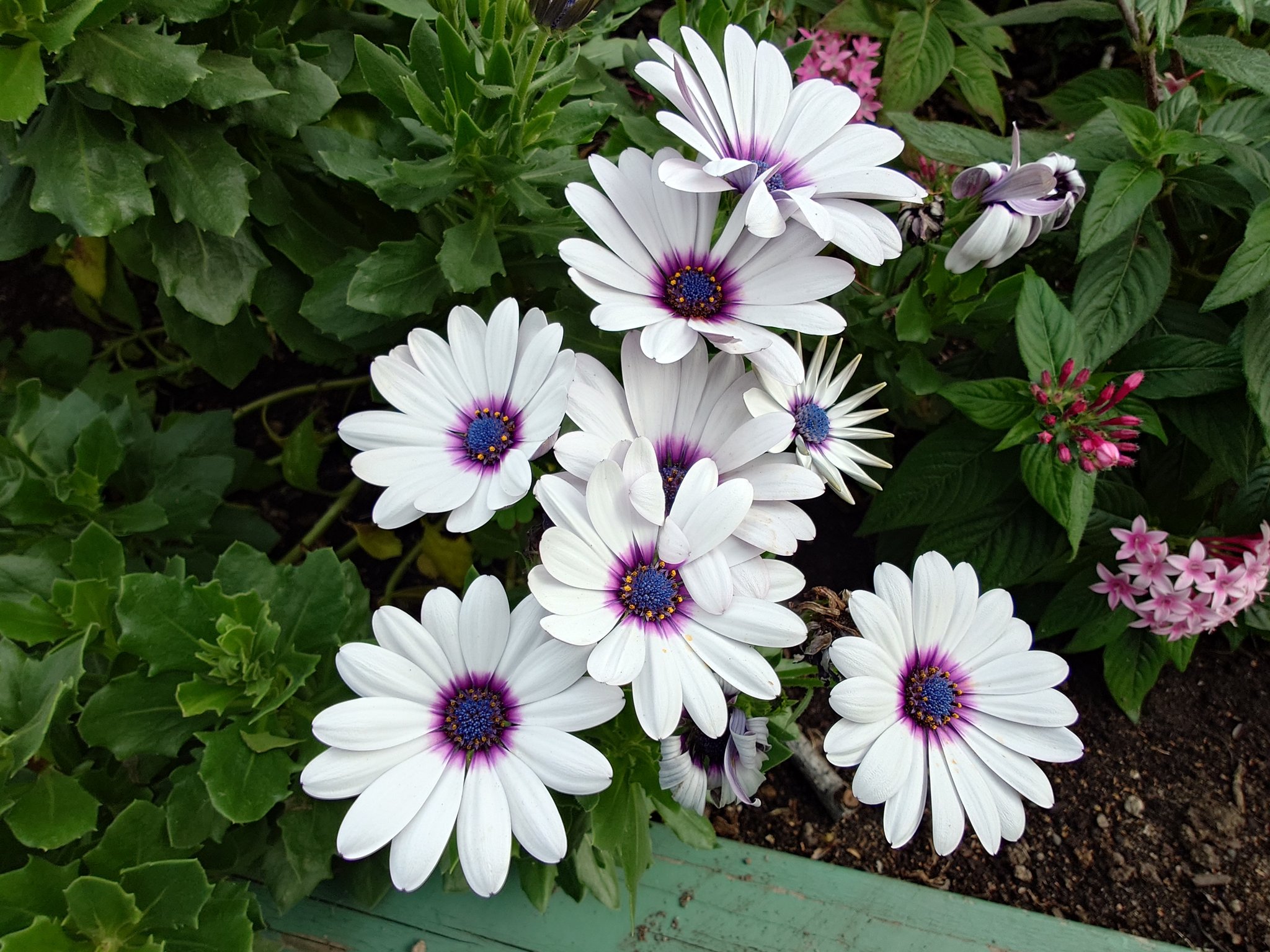 Autumn様♡ありがとうございます♡ sumiremire on X: 