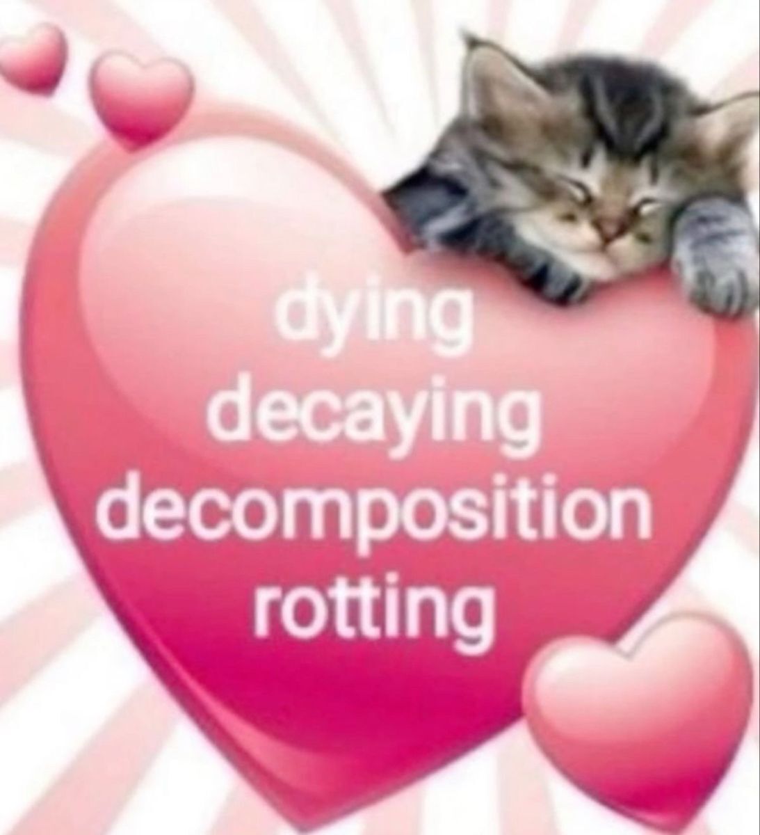 Dante (@imydante) on Twitter photo 