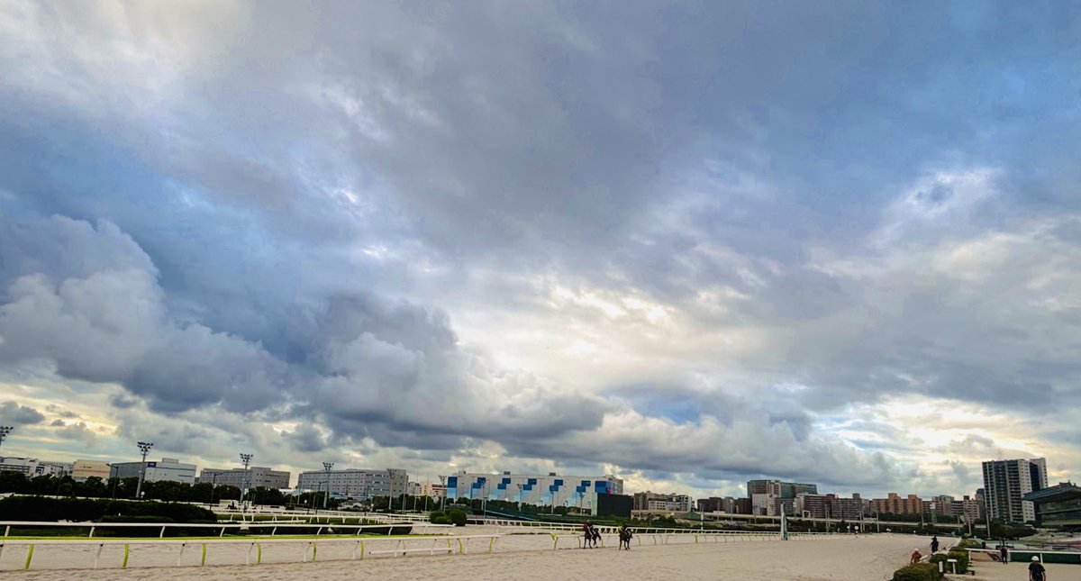 江里口 裕輝 tweet media