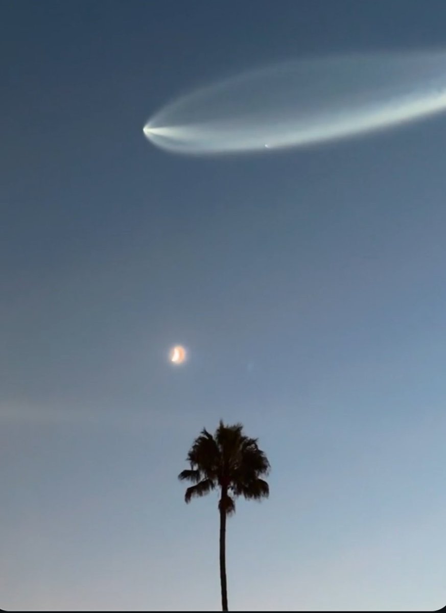 torchitdown's tweet image. SpaceX getting satellites into space.