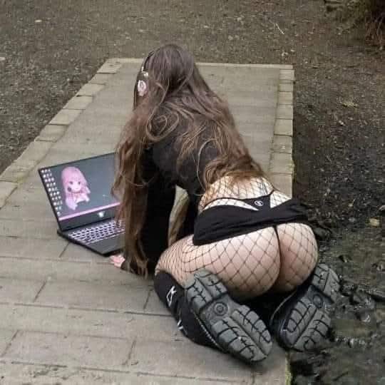 Carlos B tweet media