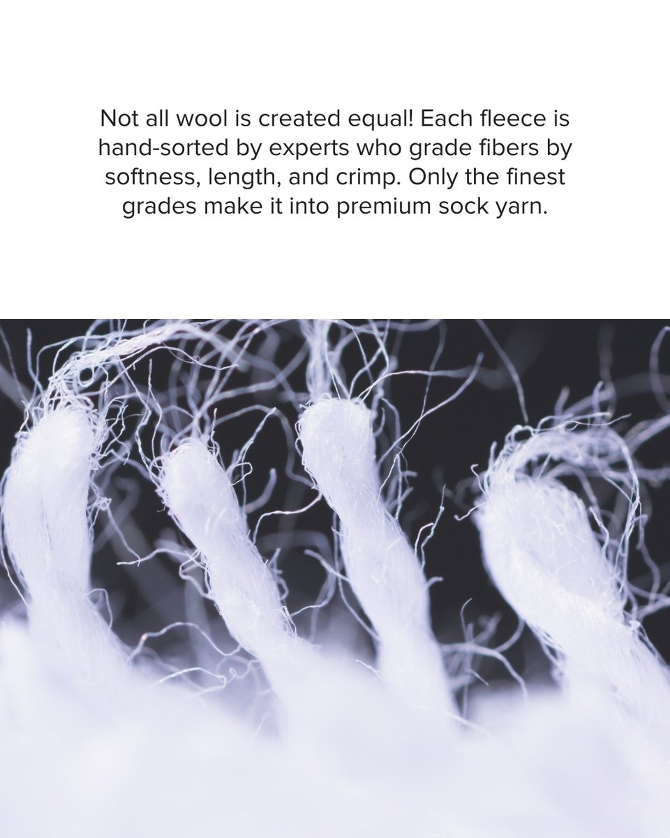 SockClub's tweet image. Ever wonder how the world's most comfortable socks are made? 🐑

✨ Swipe through to follow the incredible journey from sheep to sock! 

#MerinoWool #SockClub #QualitySocks #NaturalFibers #CraftedWithCare #PremiumSocks #WoolProcess #SustainableFashion #ComfortableFeet