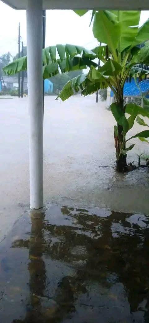 RP_OndaAlegria's tweet image. 🌧️ Las intensas lluvias afectan fuertemente la comunidad de San Antonio del Sur, en la provincia de #Guantánamo🇨🇺. 
.
.
.
#IntensasLluvias #OrienteCubano