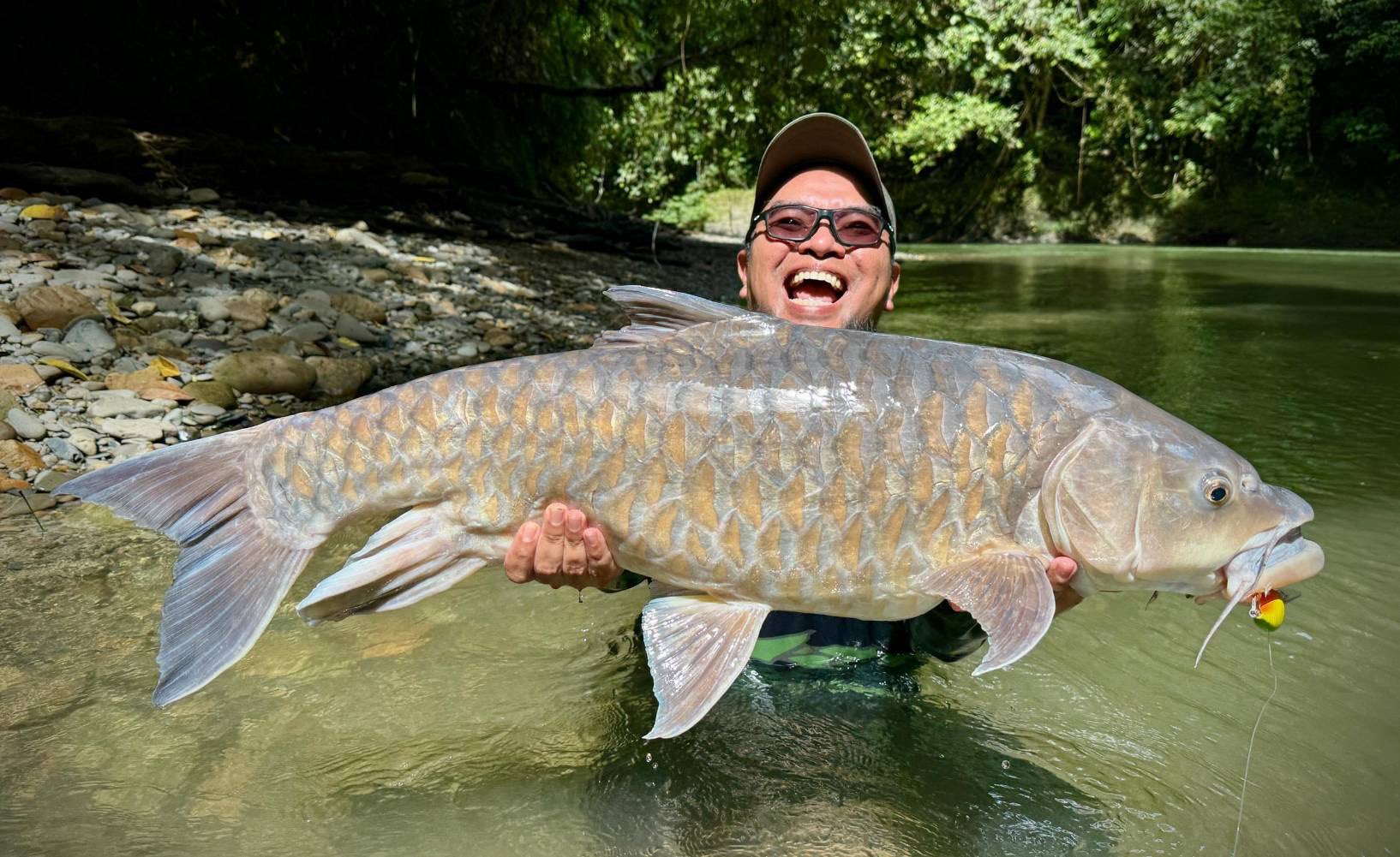 ichikawafishing (@ichikawafish) / X