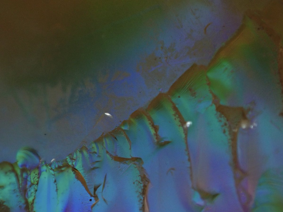 aomidori480nm's tweet photo. Unusual scenery
#見た人も無言で推しのドアップを貼る
* #EthiopianOpal
* #MacroPhotography
* #GemstoneMacro
* #OpalArt
* #MacroArt
* #GemstonePhotography
* #NaturePhotography
* #ArtOfTheDay
* #VisualArt
* #CrystalVibes
* #MineralArt https://t.co/0Q9xqDY28G