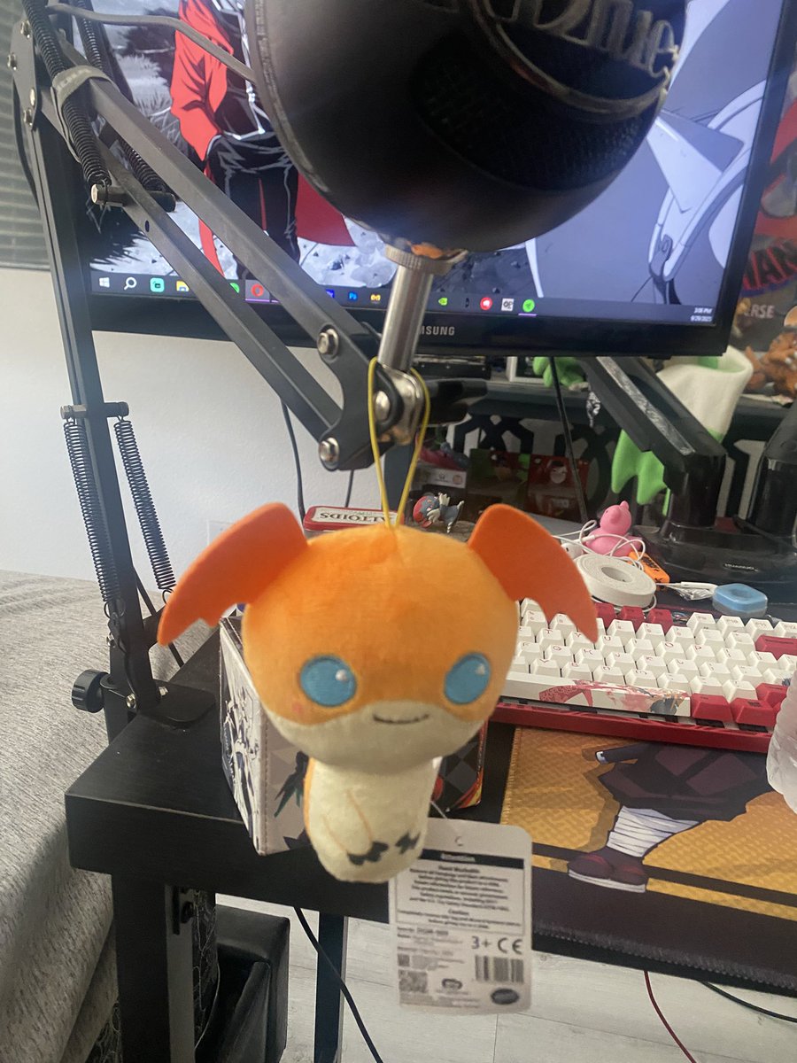 new buddy for my mic arm