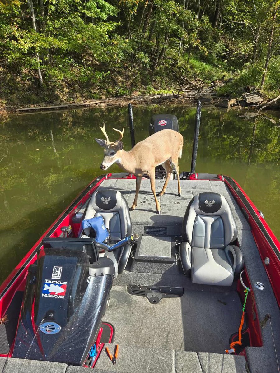 OldRowOutdoors's tweet photo. Who does bro think he is💀 https://t.co/Jb3SzQXeK7