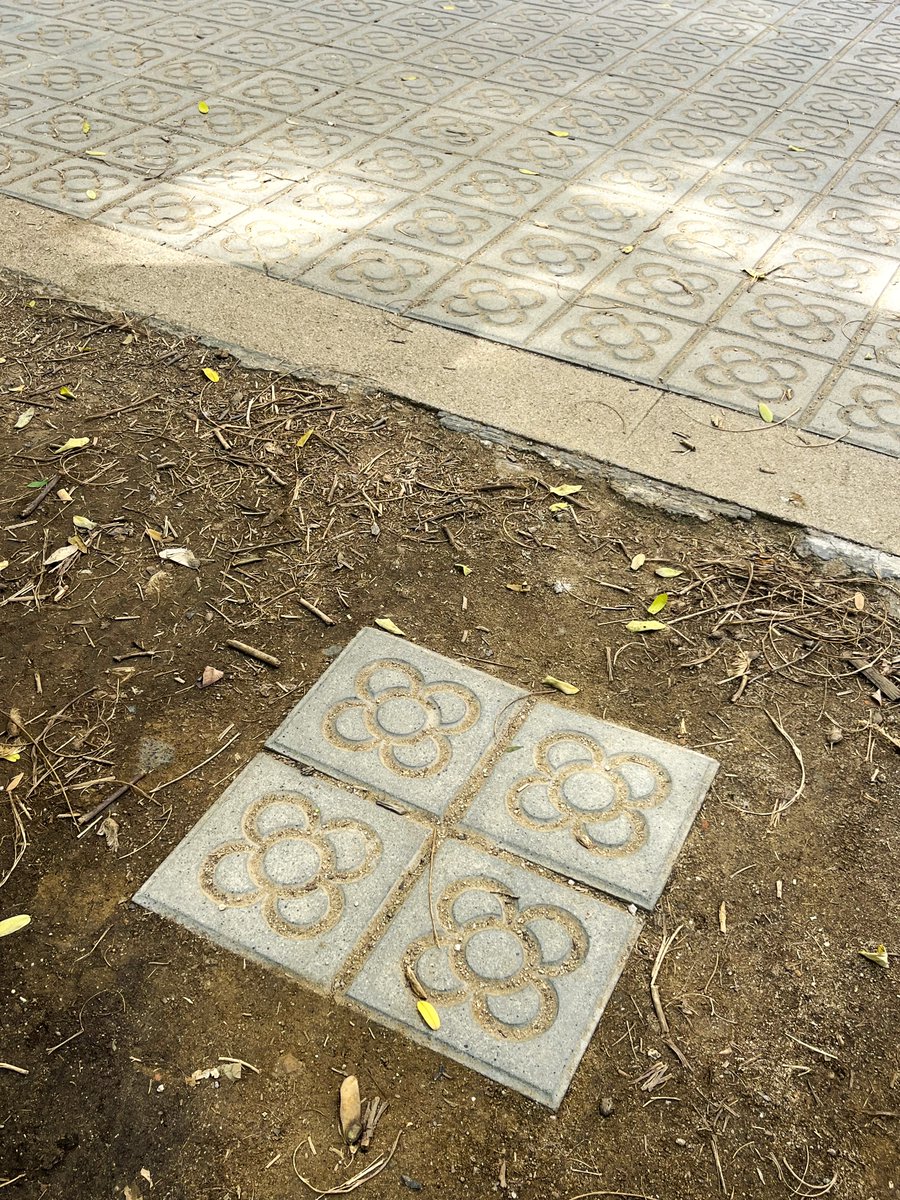 Bcnsingular's tweet photo. Uns #panots fora de lloc (jardins de Joaquim Ruyra #lesCorts) https://t.co/EtZwQ6PFnX