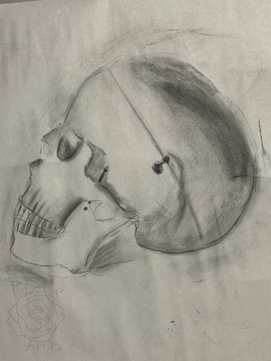 RosetteArtsy's tweet photo. I was doing a skull study with charcoal
#skull #study #charcoal #art #skulls
#skullstudy https://t.co/HpLt48gckR