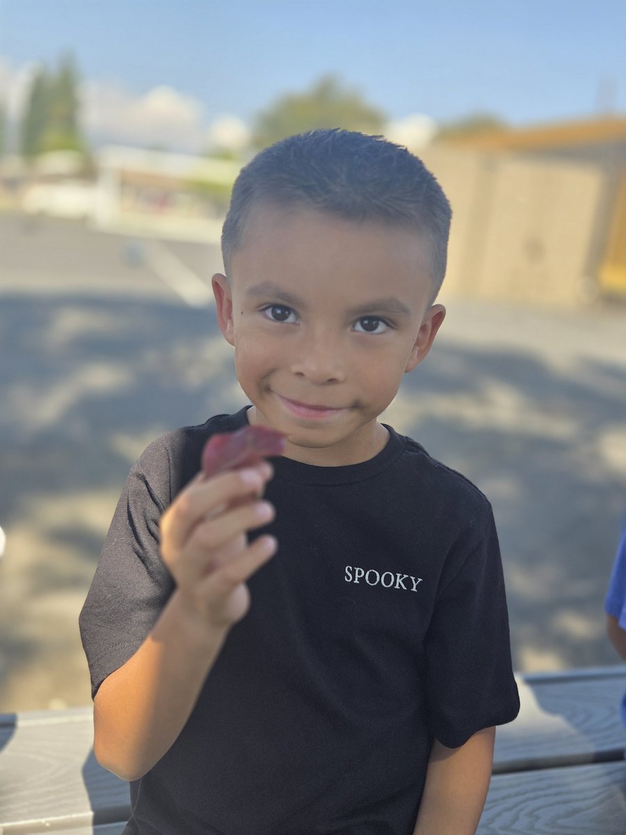 MonteVistaWCUSD's tweet photo. Our first graders are exploring the world around them by learning the difference between living and non-living things.  From plants and animals to rocks and toys—observing, questioning, and discovering what makes something truly alive. @WestCovinaUSD https://t.co/rH0cOgLQU4
