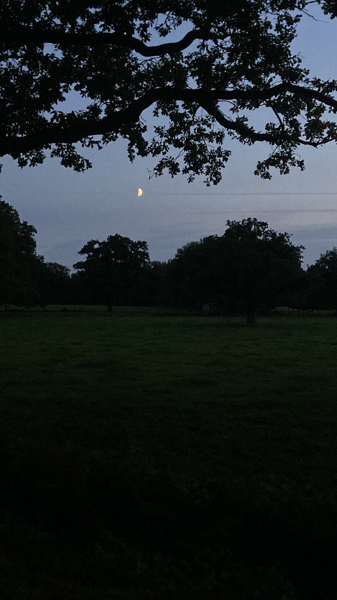 De avond valt, met een mooie 🌓 maan