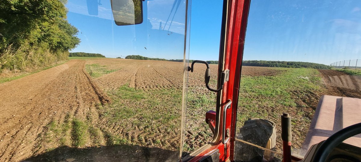 🤩 conditions top
Nodosité sur feveroles 
#agriculture #FrAgTw #ihforever