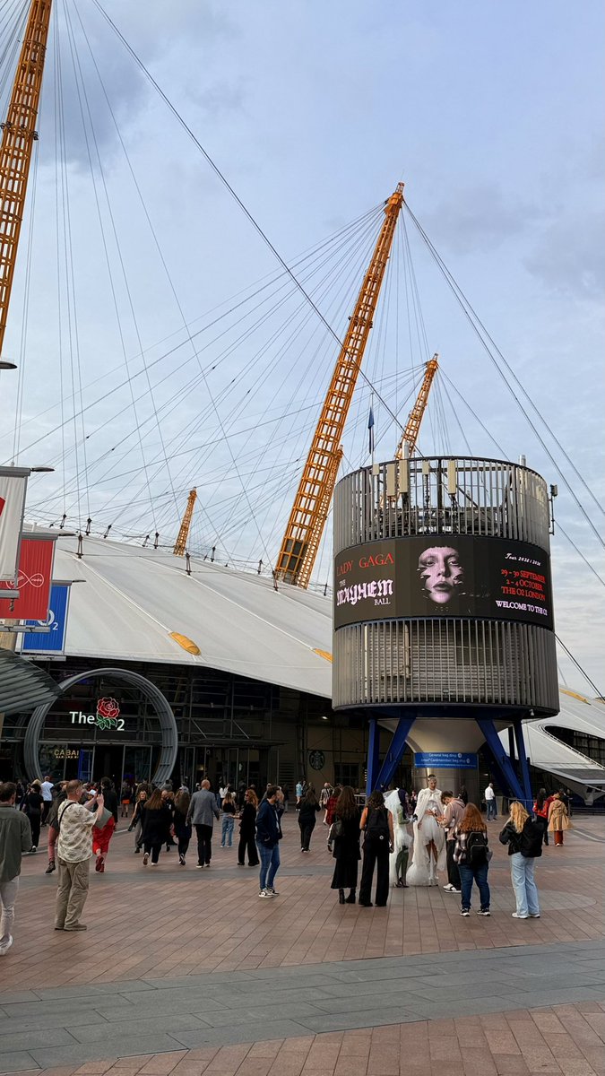 So excited for gaga 🥰