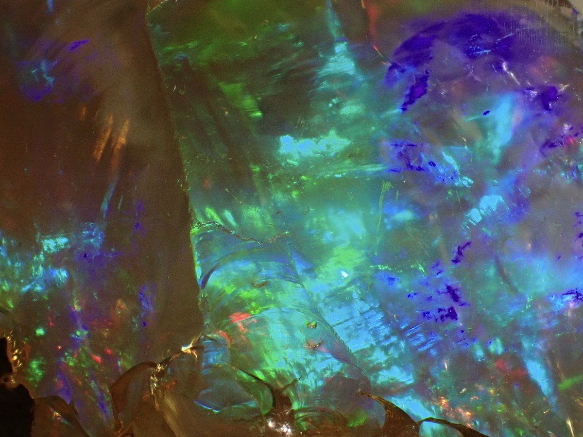 aomidori480nm's tweet photo. #Beautiful Mysterious Forest
* #EthiopianOpal
* #MacroPhotography
* #GemstoneMacro
* #OpalArt
* #MacroArt
* #GemstonePhotography
* #NaturePhotography
* #ArtOfTheDay
* #VisualArt
* #CrystalVibes
* #MineralArt https://t.co/DVpmmloYNy