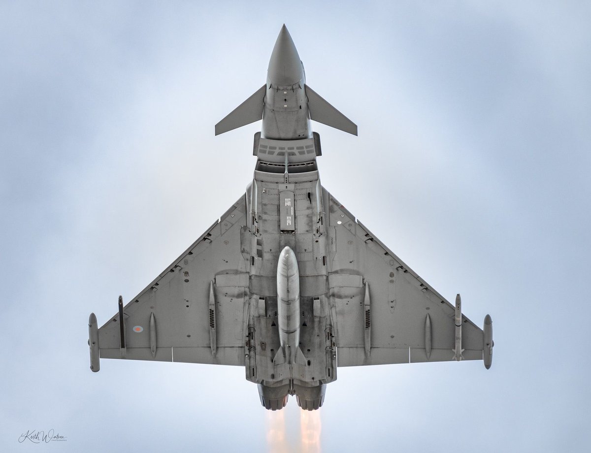 Typhoon Display Pilot tweet media