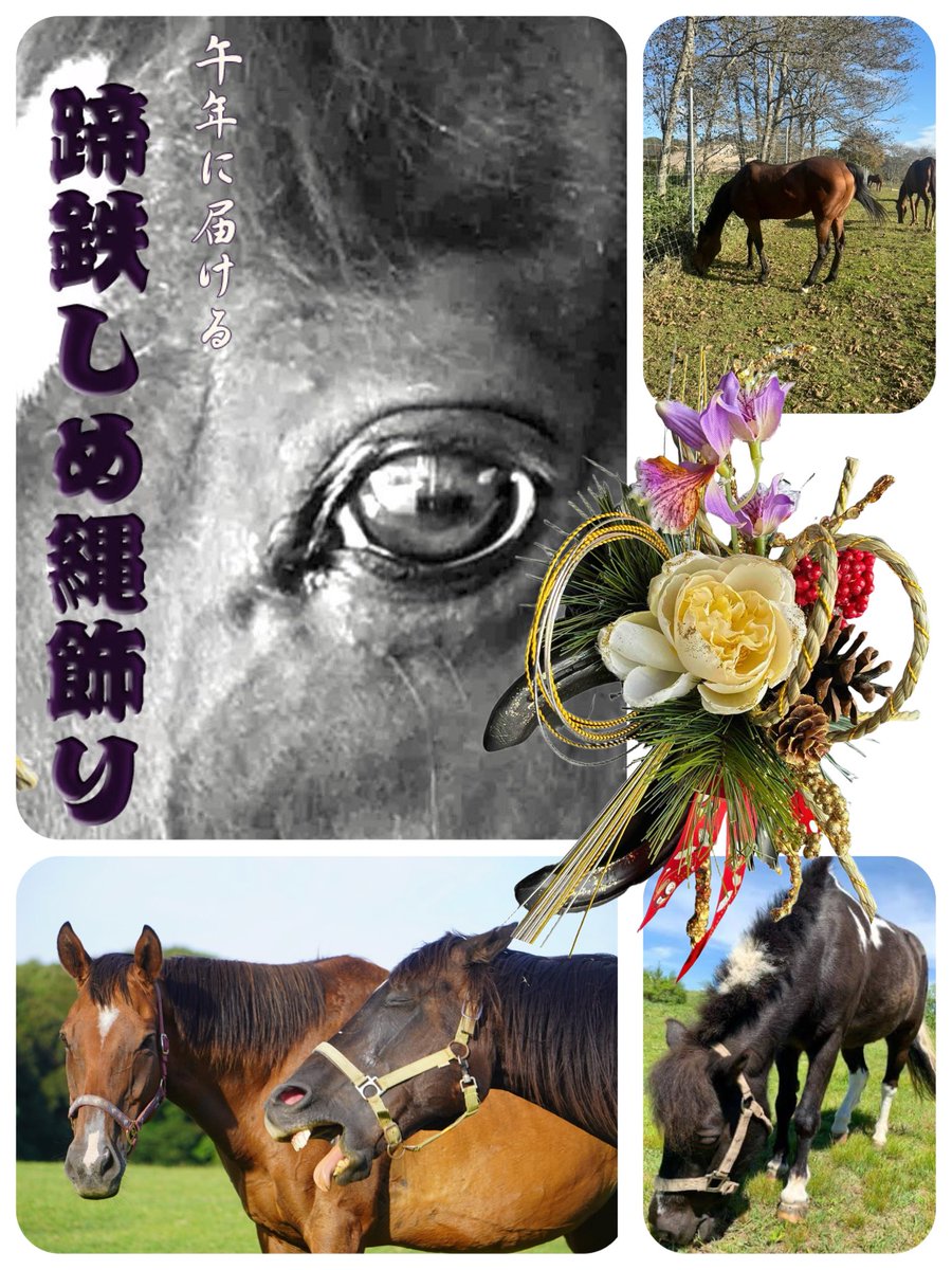 小麦の色 (@shin04ao05) / Posts / X