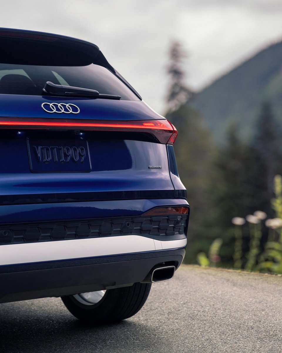 Audi Stuart tweet media