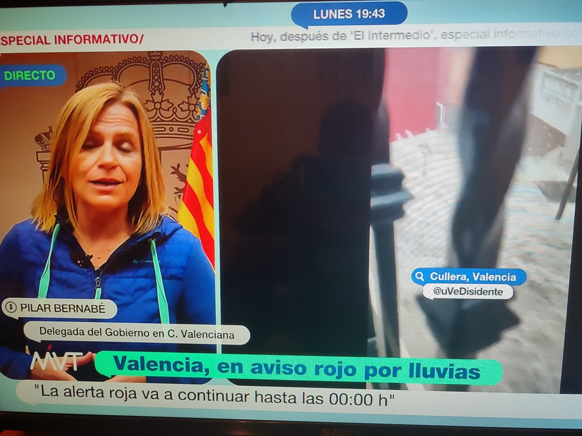 José Vico 🔻🇵🇸🇿🇦 tweet media