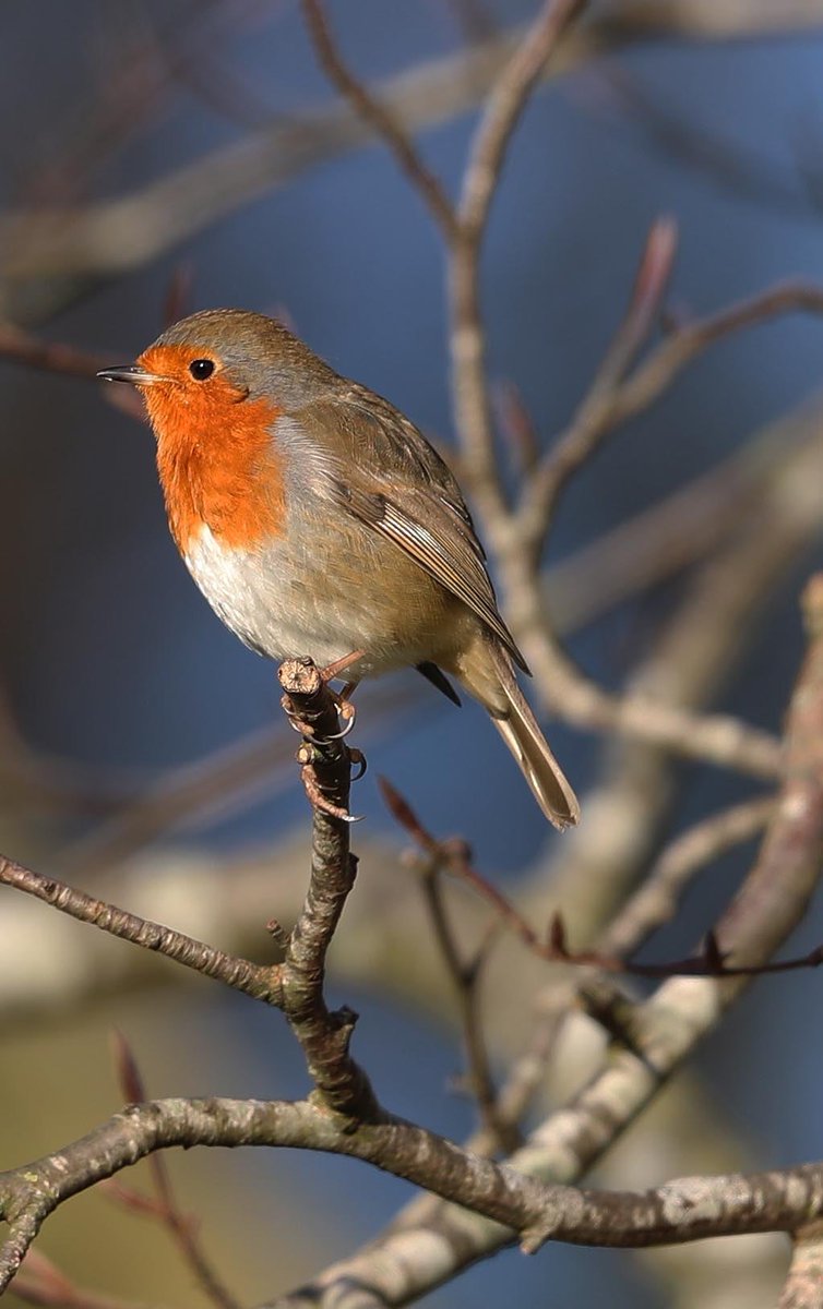 One of the locals enjoying some early morning sunshine…