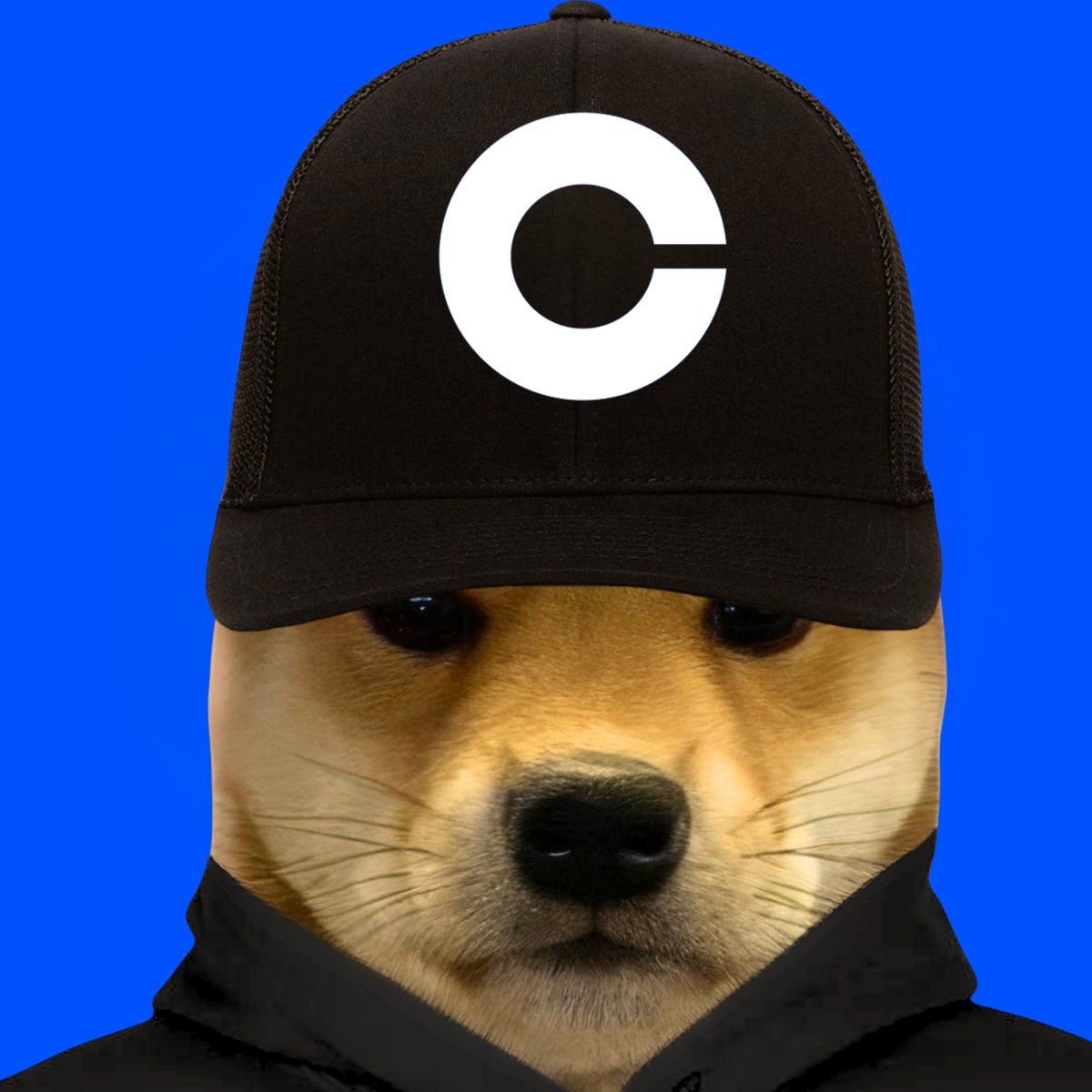 dogwifcoinのブルリッシュミーム