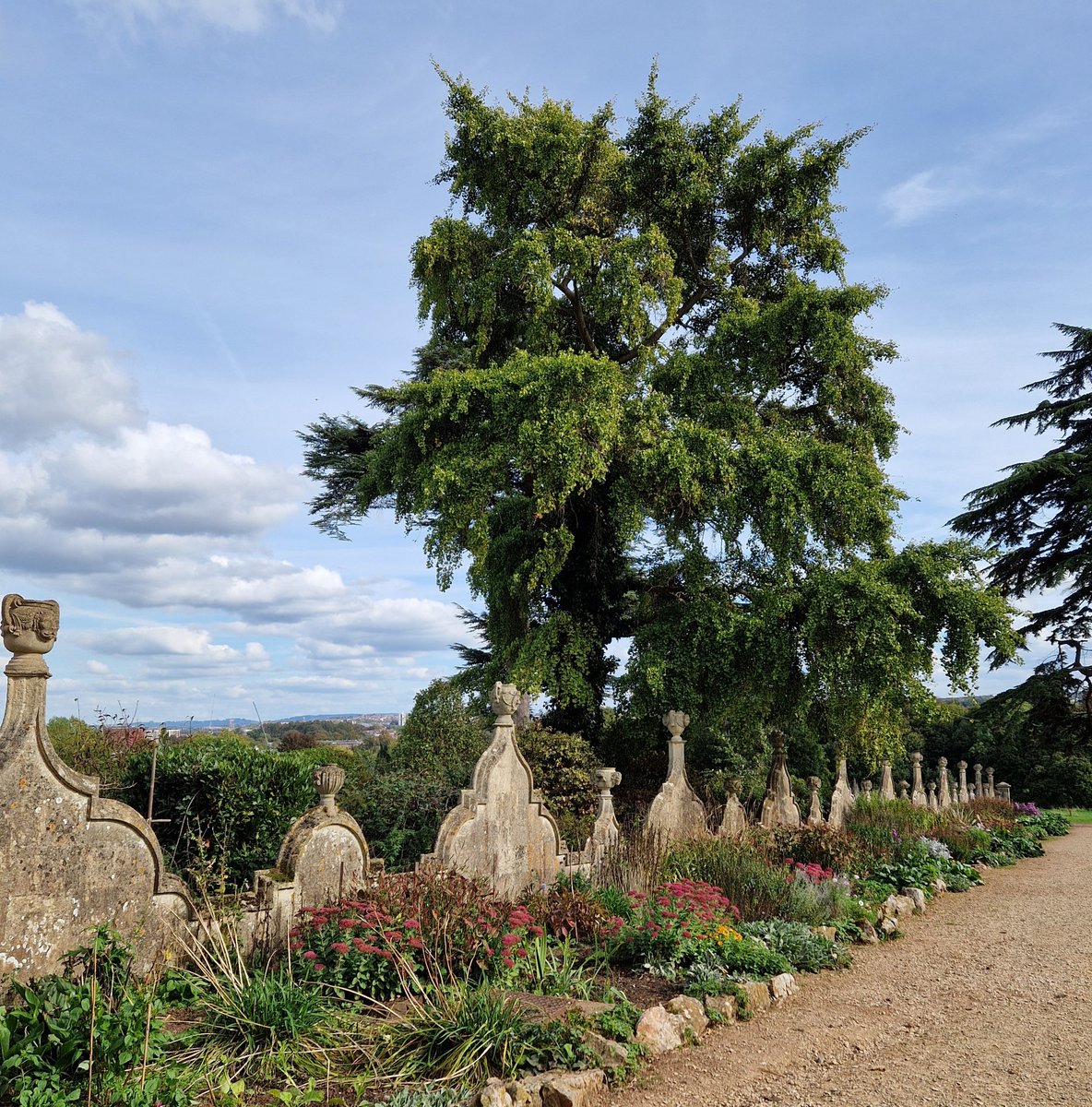 Vicky_Freeman's tweet image. A lovely autumunal day for a walk at Ashton Court