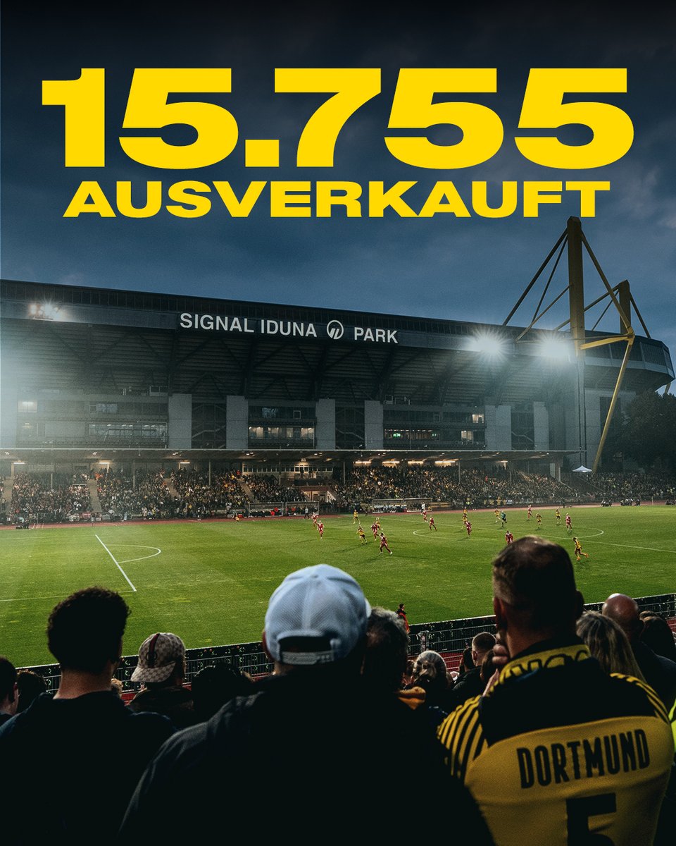 Einfach WOW 🤯💛

#BVBFCB