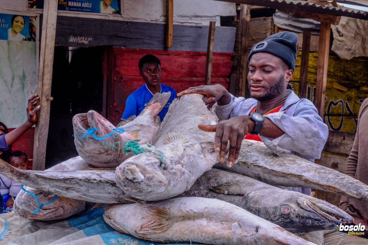 IsralMutombo11's tweet image. #MOANDA:  Le secteur de la pêche : une clé de l’économie nationale, encore non exploitée.

Entre le manque d’équipements adéquats et l’absence de réglementation visant à sécuriser la pêche artisanale, la commercialisation et la conservation des poissons de mer restent des défis