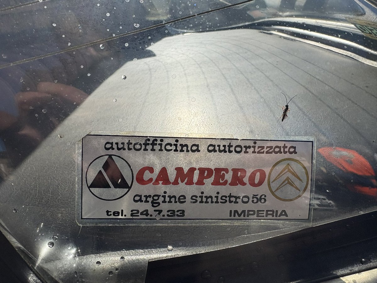 OttantaMagic's tweet image. Once upon time, Autobianchi and Citroën had a romantic affair…