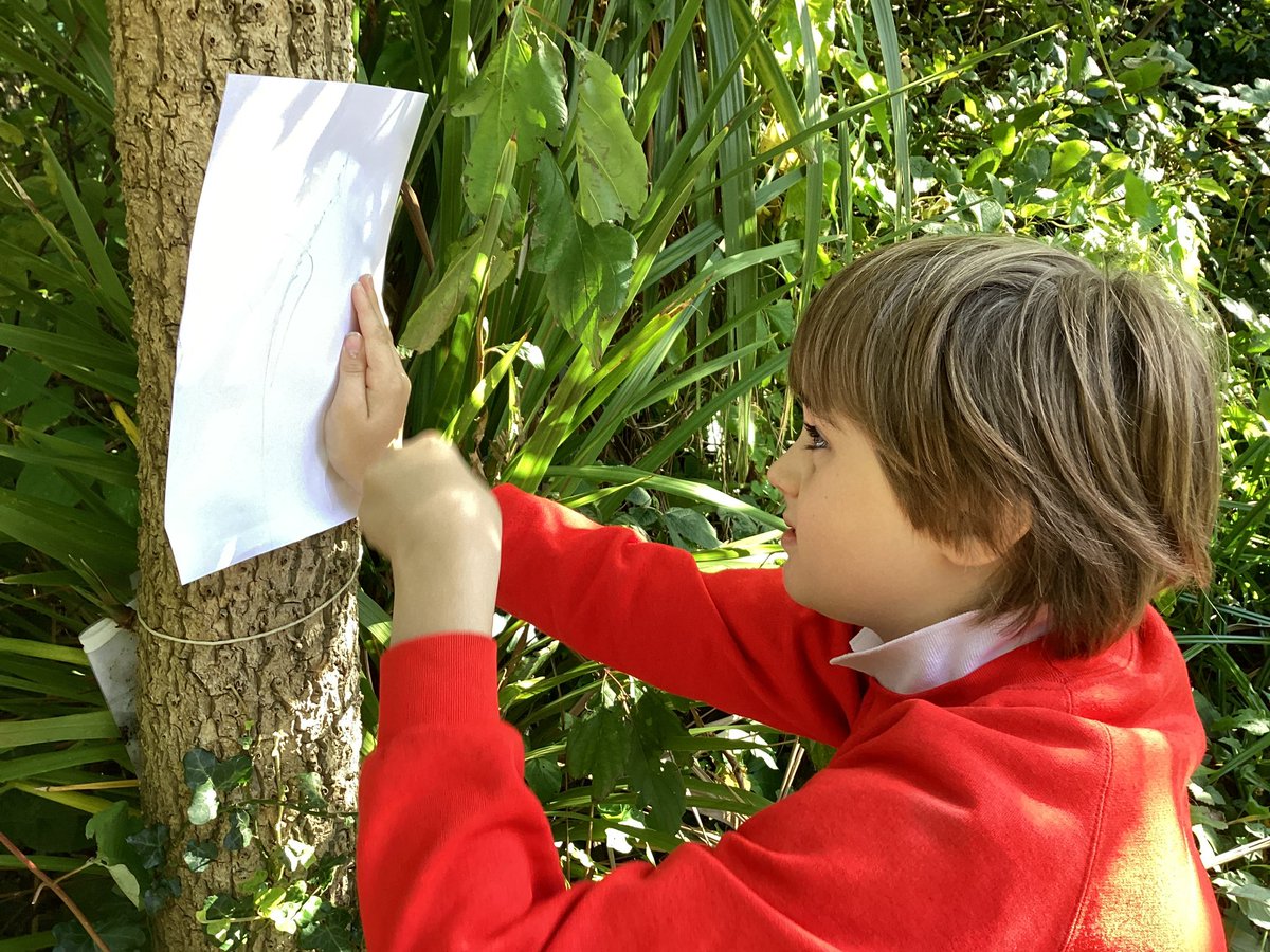 Redmarshschool's tweet photo. Our pupils have been very busy during outdoor learning activities; exploring the different textures of the trees and taking bark rubbings, exploring habitats and taking part in scavenger hunts. Well done everybody! https://t.co/DDZyKn6dxj