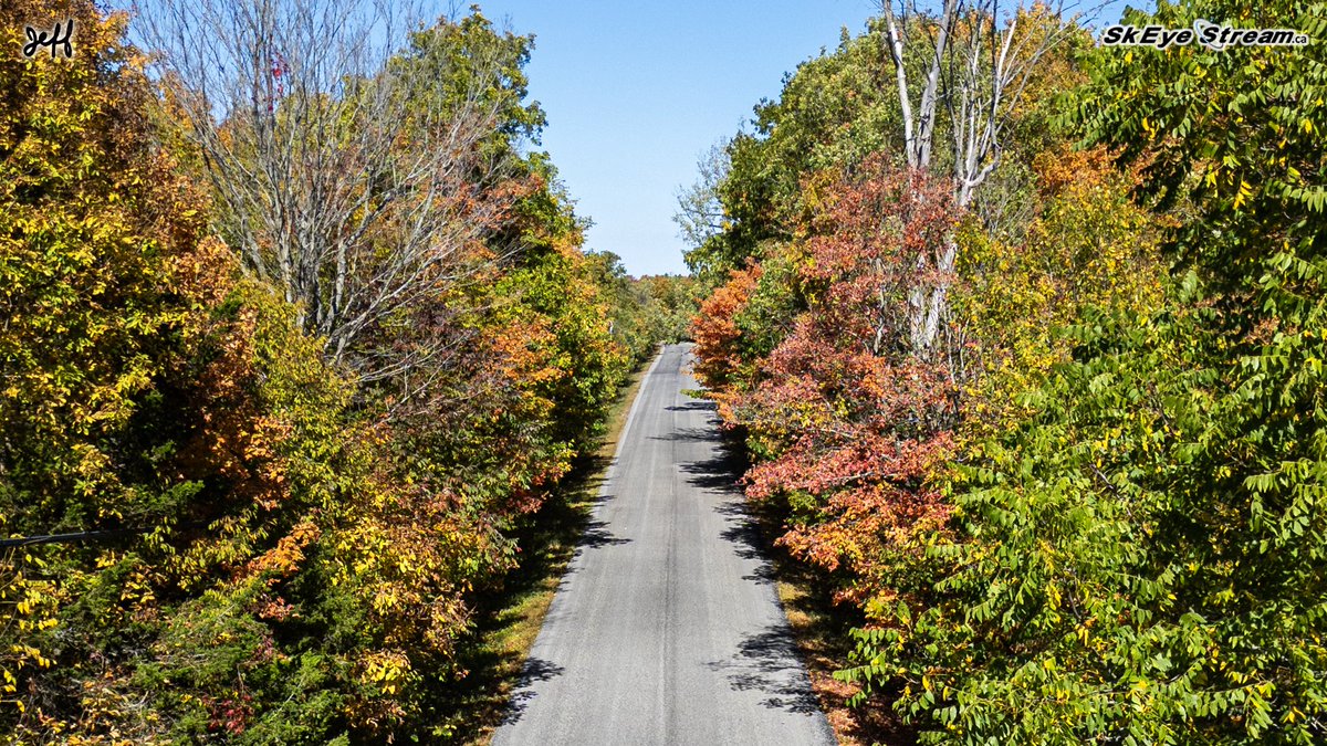 SkEye Stream tweet media