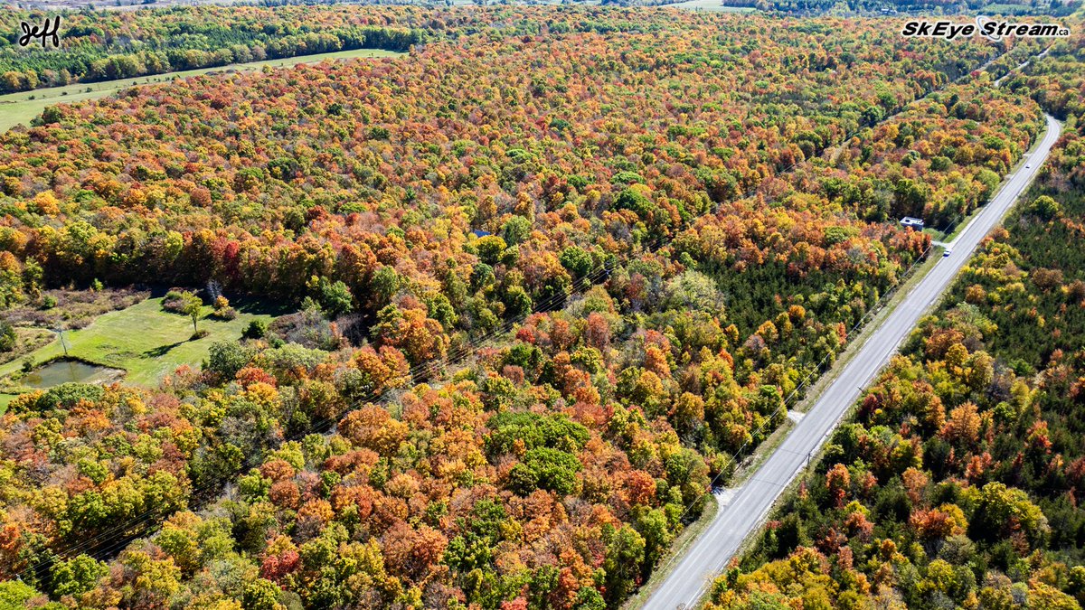 SkEye Stream tweet media