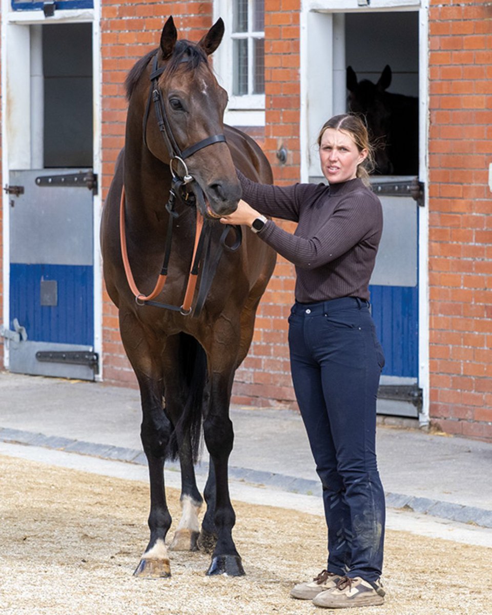 ownersgroupuk's tweet photo. The mighty Zoran at a recent visit to Emma Lavelle's Bonita Racing Stables.

#Zoran #OwnersGroup https://t.co/mNi4HK4Lco
