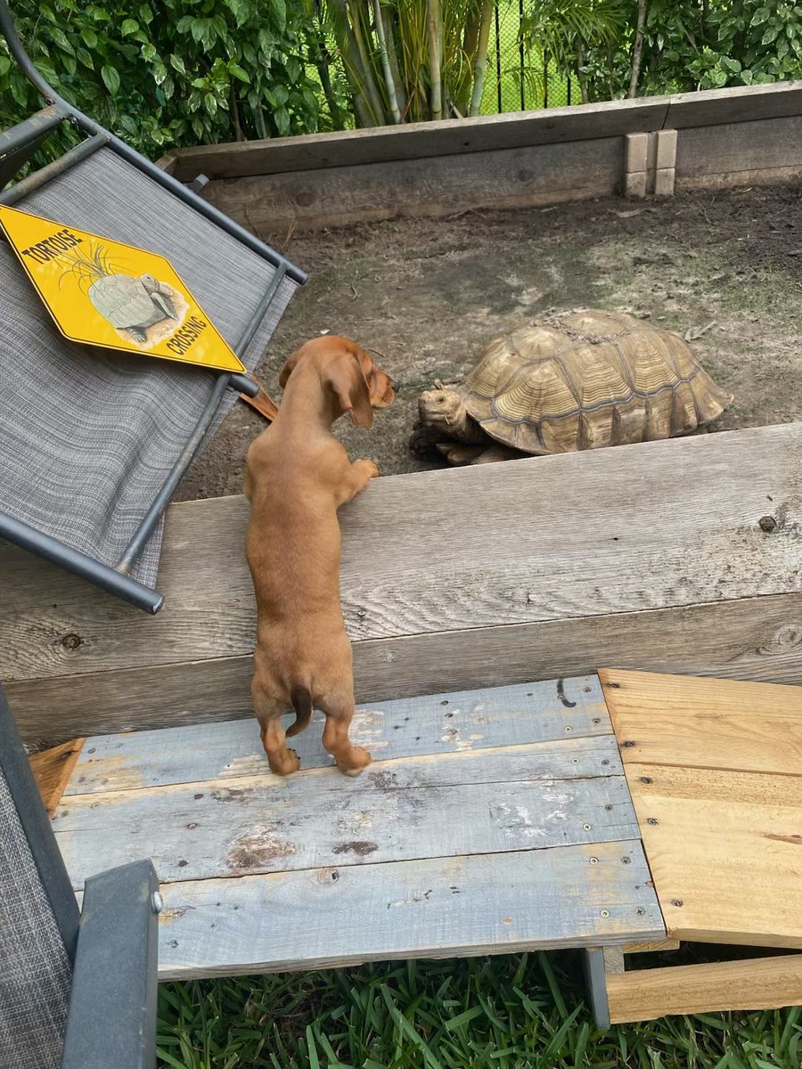 jocomps's tweet image. september 🚮🚮