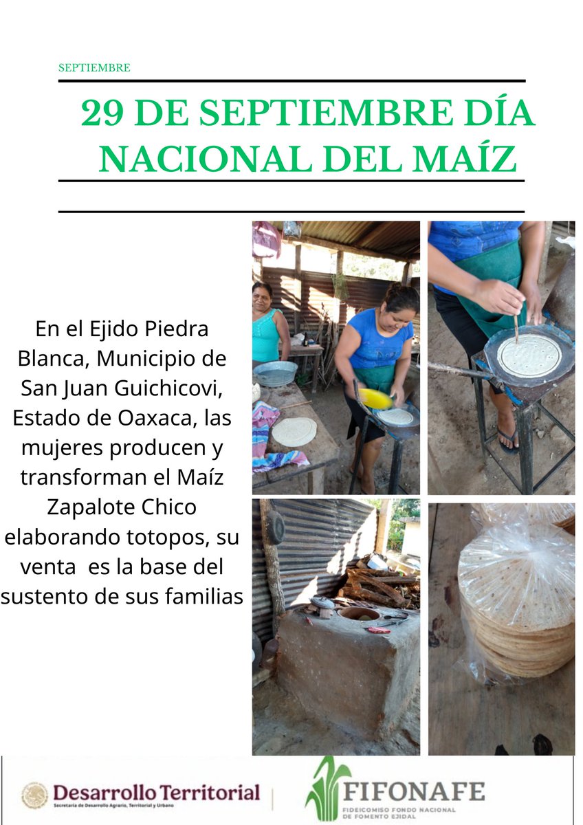 FIFONAFE tweet media