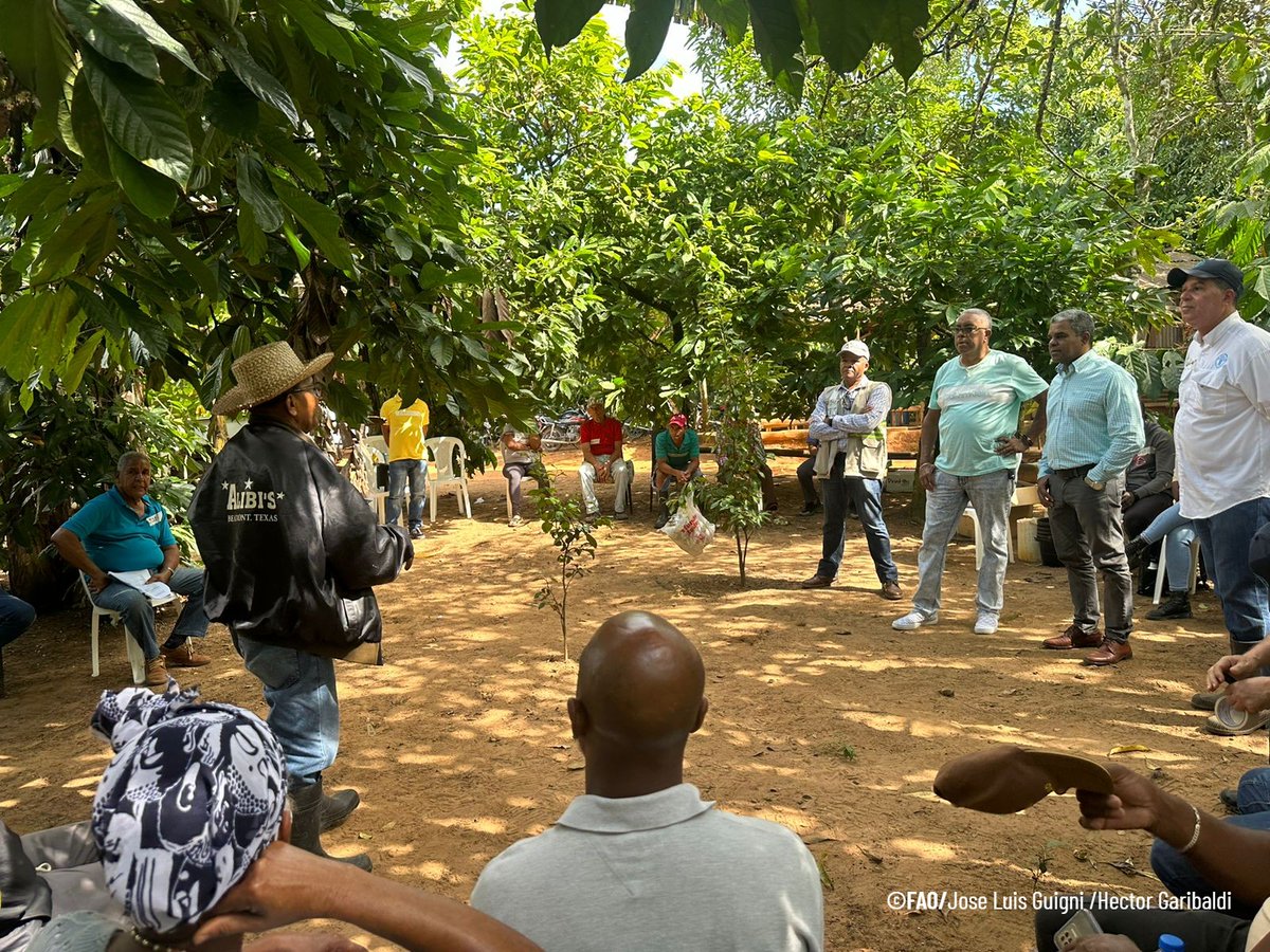 faodominicana's tweet photo. 🤔 ¿Lo sabías?

A través del proyecto #PARGIRH, 868 productores (14% mujeres) se forman en conservación de suelos y agua gracias a 48 Escuelas de Campo.

Pequeñas acciones, grandes impactos para una agricultura más resiliente. 🌱

@AgriculturaRD @INDRHIRD @BancoMundialLAC https://t.co/2cLe3o2Mub